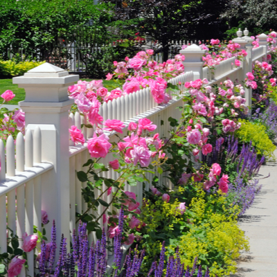 Denver Spring Real Estate Market Tips for Home Buyers and Sellers